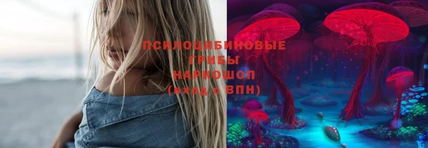 PSILOCYBIN Нефтекумск