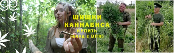 PSILOCYBIN Нефтекумск