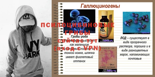 PSILOCYBIN Нефтекумск
