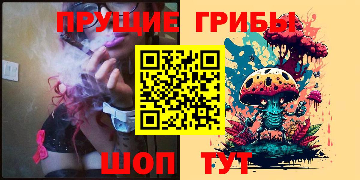 Галлюциногенные грибы Psilocybe  Вход с VPN  Махачкала  Псилоцибиновые грибы мицелий 