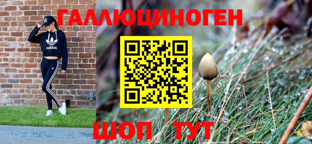 Псилоцибиновые грибы GOLDEN TEACHER Махачкала
